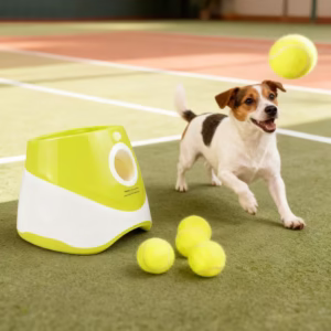 Wyrzutnia Piłek Dla Psów
